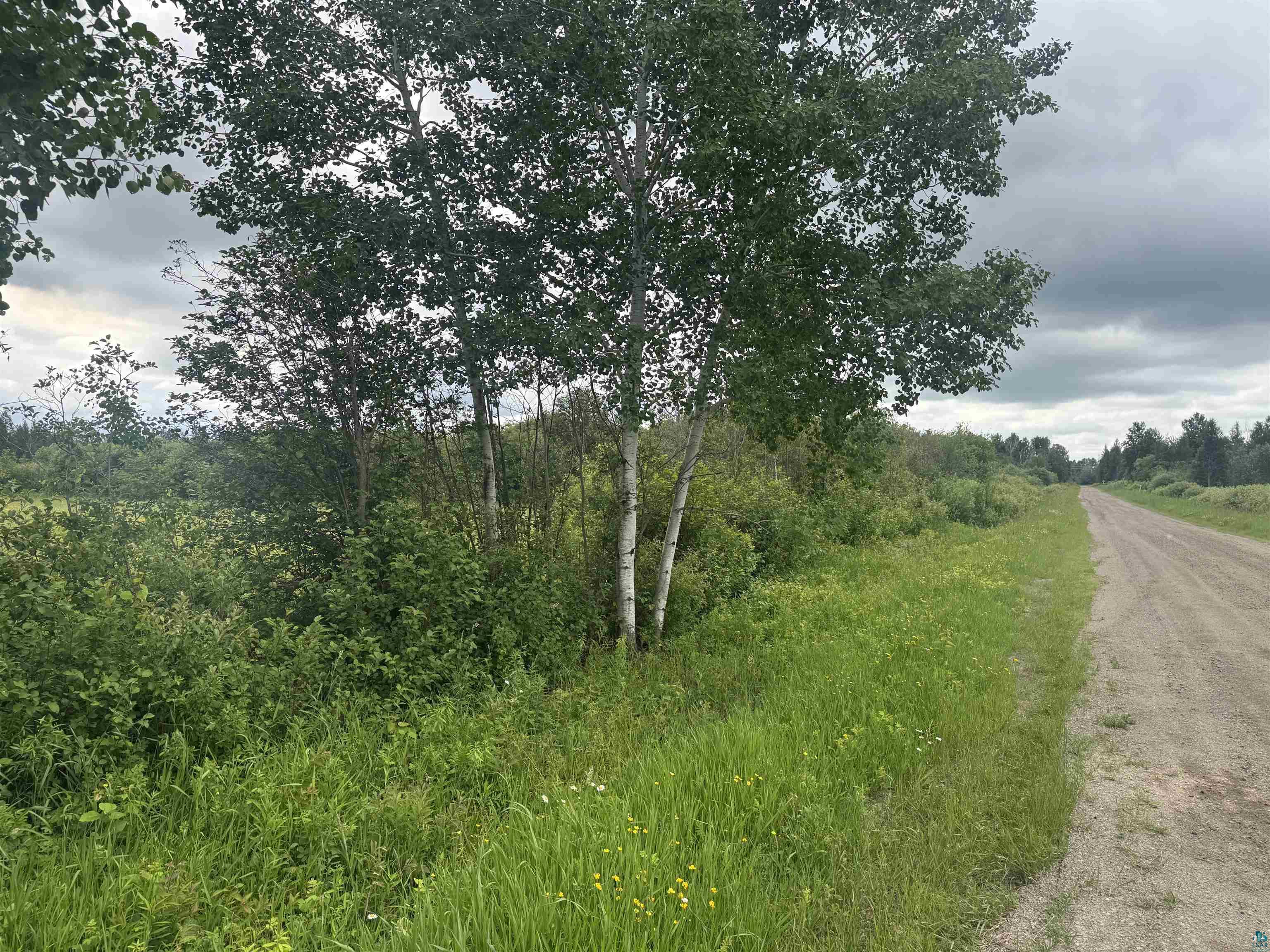 Tbd Town Line Road Forbes, MN 55738 - Photo 10 of 19
