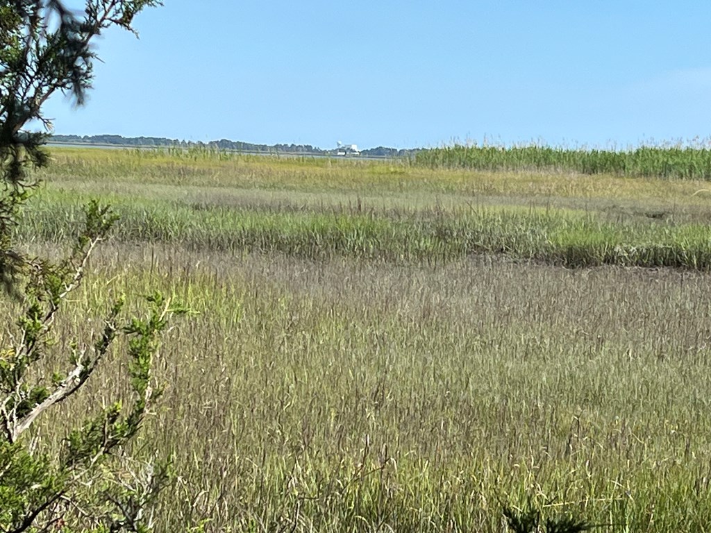 N/a Chincoteague Road Wallops Island, VA 23337 - Photo 26 of 27