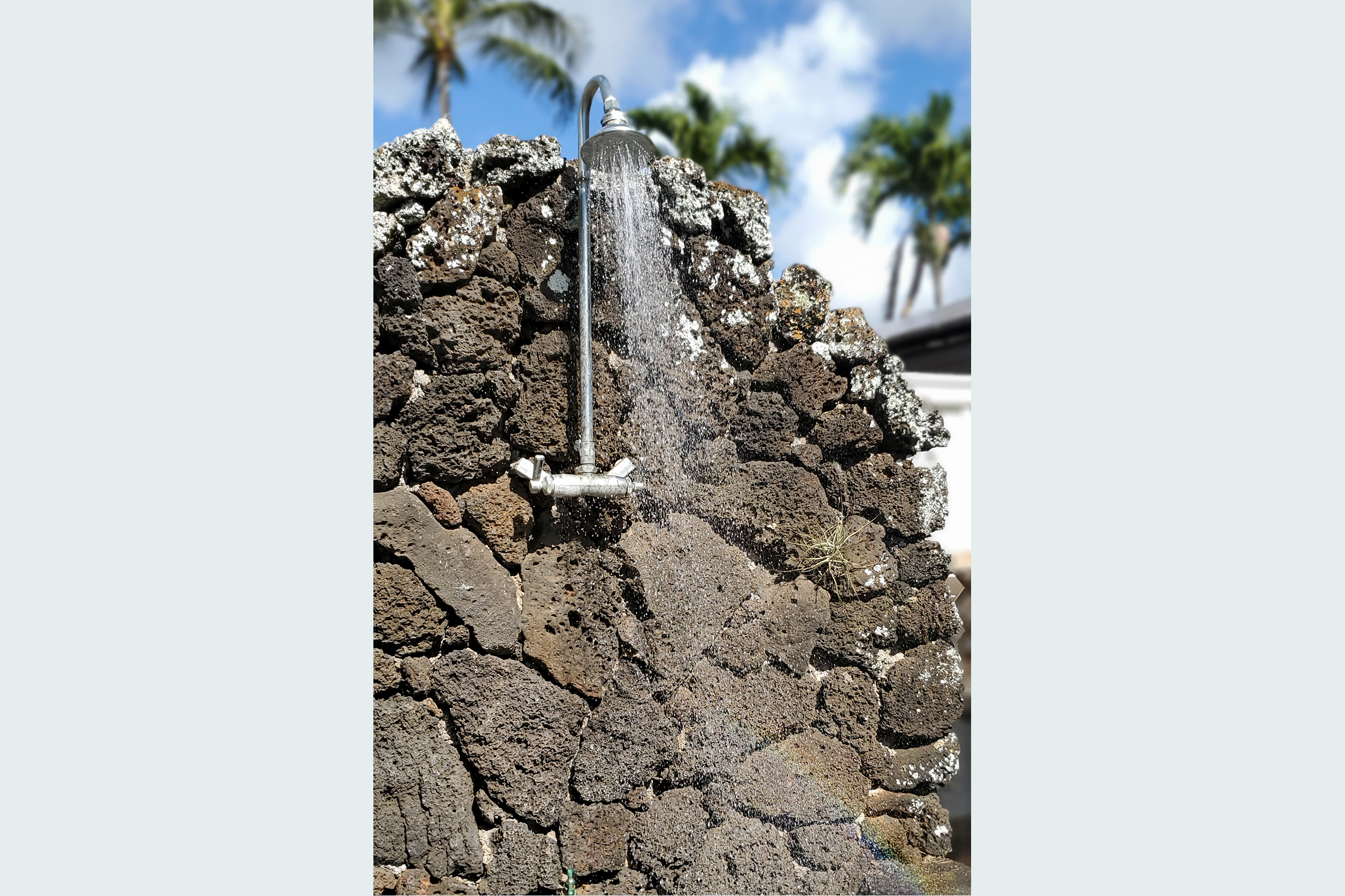 2750 Milo Hae Loop Koloa, HI 96756 - Photo 22 of 23 a view of a entryway