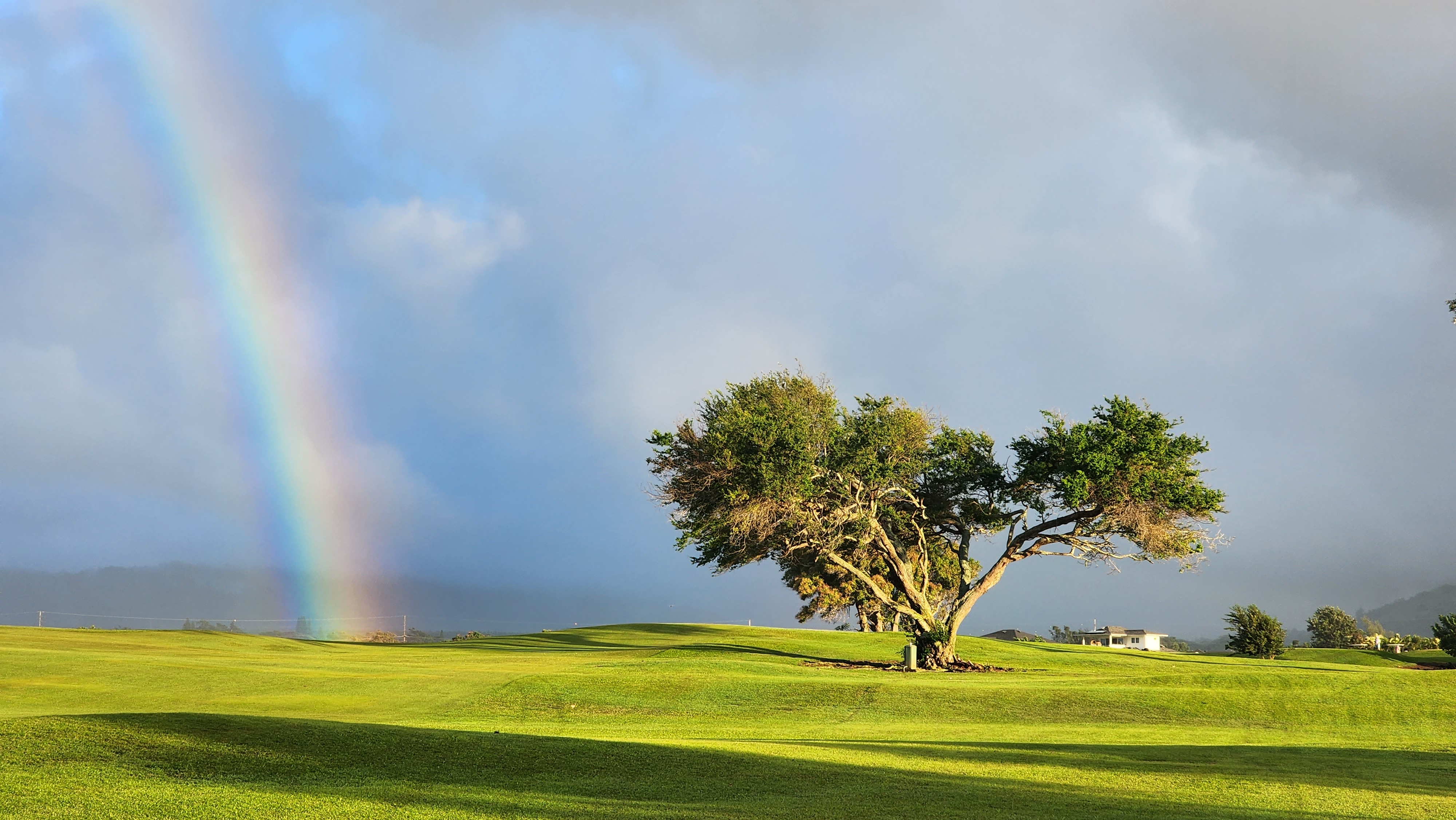 2750 Milo Hae Loop Koloa, HI 96756 - Photo 9 of 23 a view of a garden