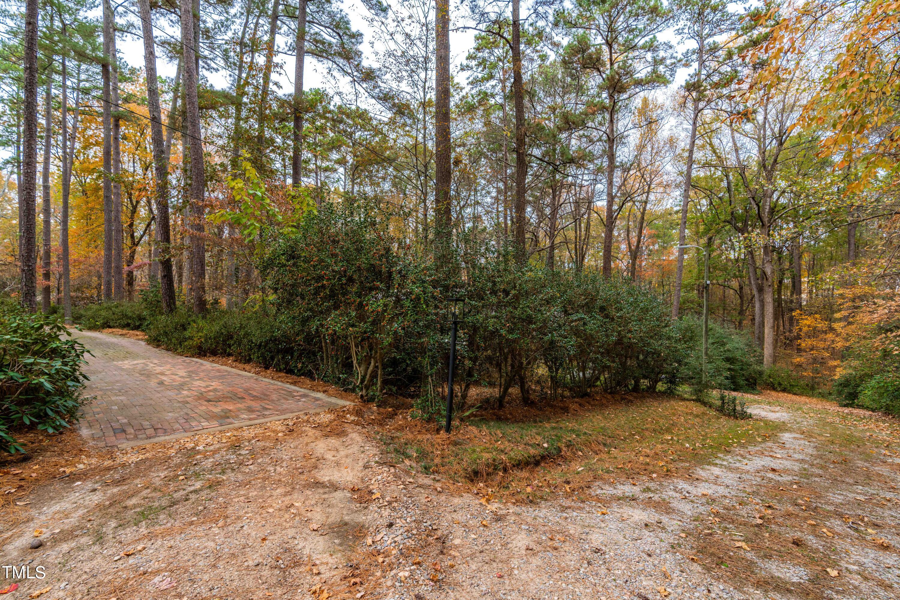 3120 Tanager Street Raleigh, NC 27606 - Photo 55 of 70 a view of outdoor space and trees