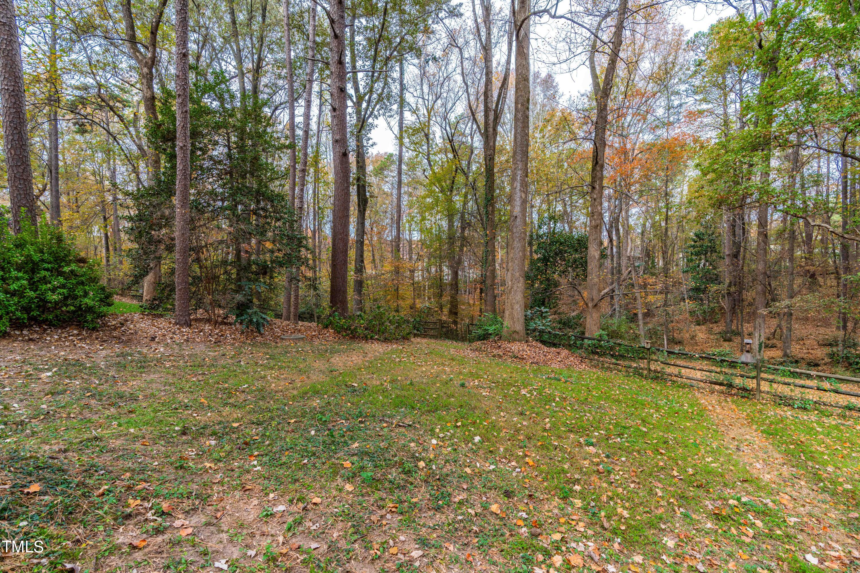 3120 Tanager Street Raleigh, NC 27606 - Photo 56 of 70 a view of backyard with green space