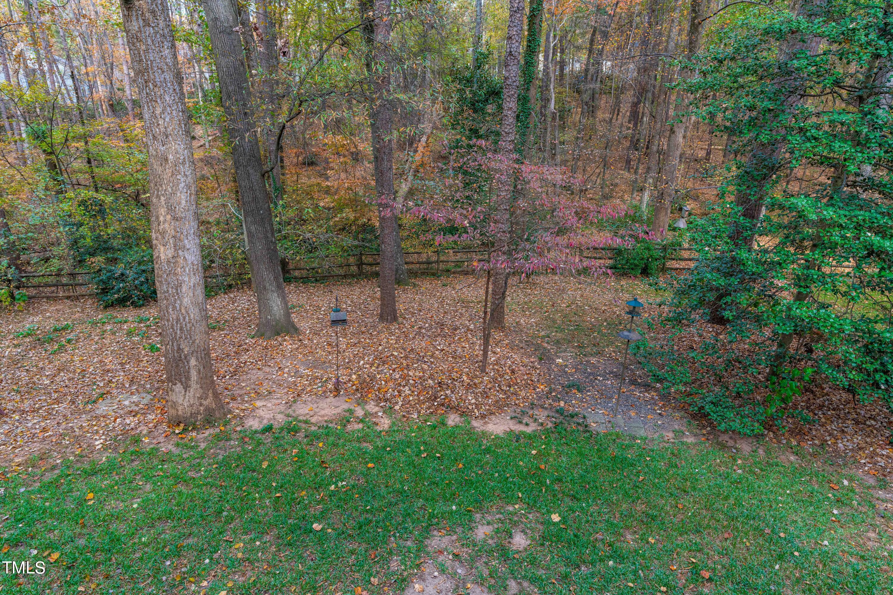 3120 Tanager Street Raleigh, NC 27606 - Photo 57 of 70 a view of a backyard with trees
