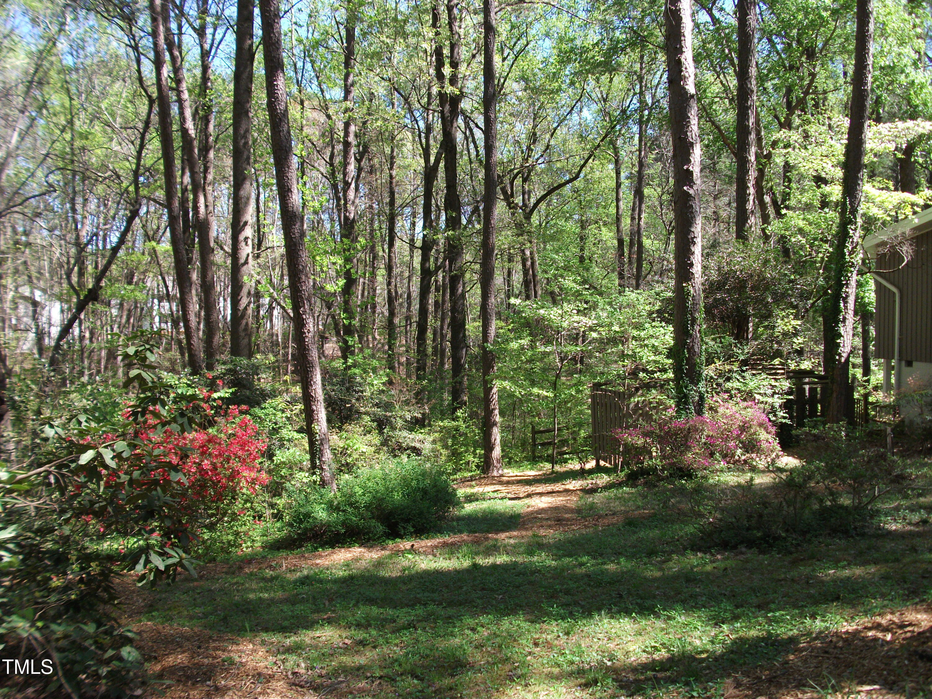 3120 Tanager Street Raleigh, NC 27606 - Photo 70 of 70 a view of yard with green space