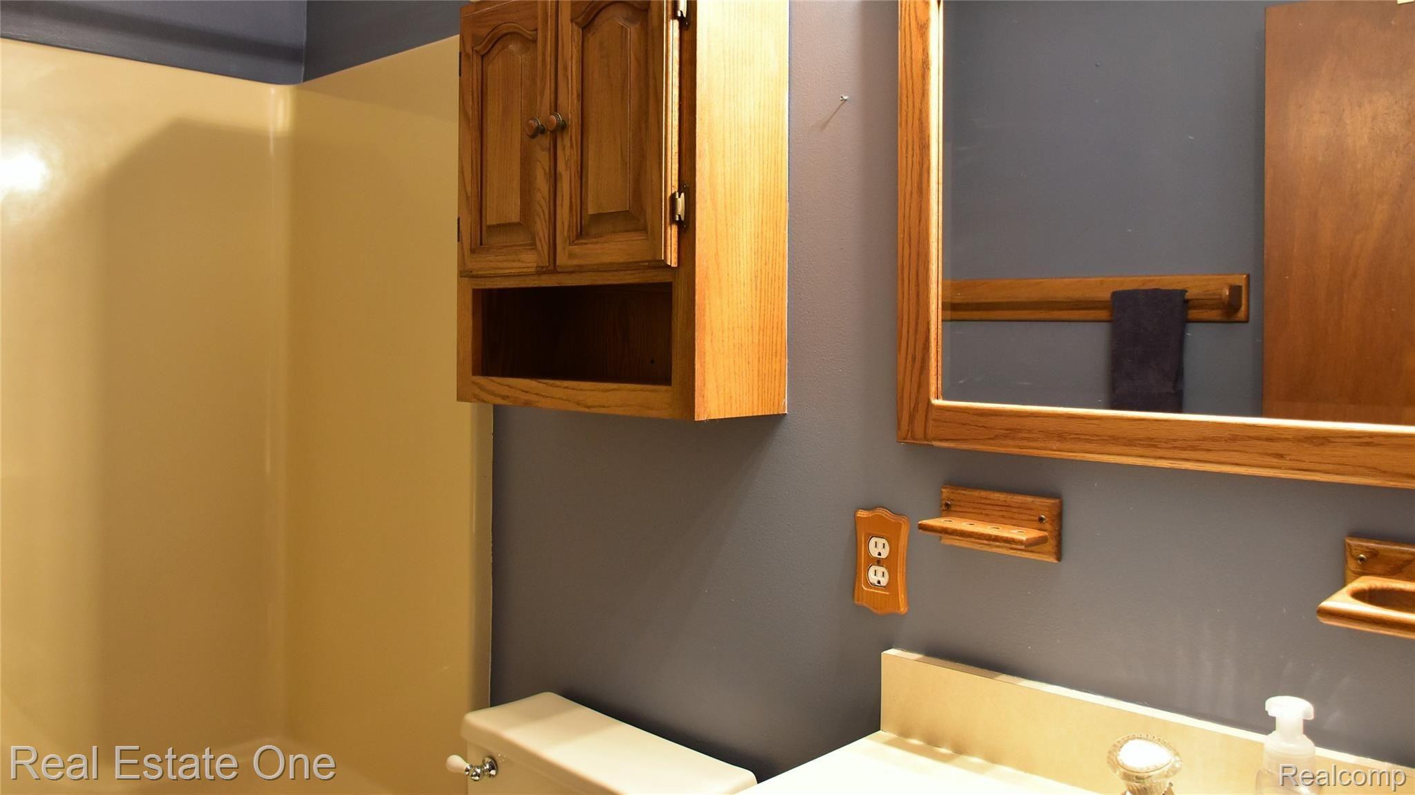 6241 Pinckney Road Pinckney, MI 48169 - Photo 23 of 35 Main Bathroom