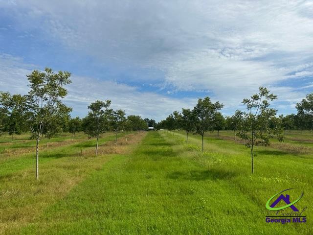 Henderson Springs Road Elko, GA 31025 - Photo 18 of 24
