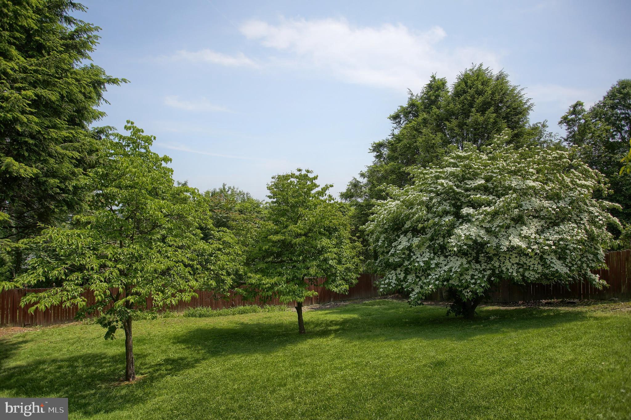 15 Cumberland Road Lemoyne, PA 17043 - Photo 10 of 40 Gallery Image 10