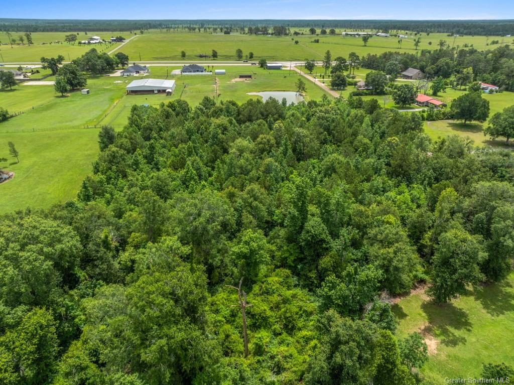 0 Lee Hall Road Deridder, LA 70634 - Photo 11 of 21