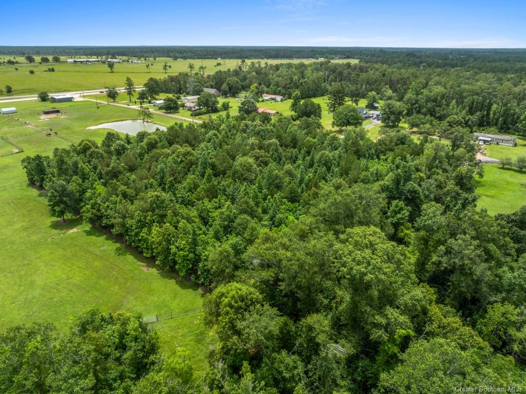 0 Lee Hall Road Deridder, LA 70634 - Photo 12 of 21