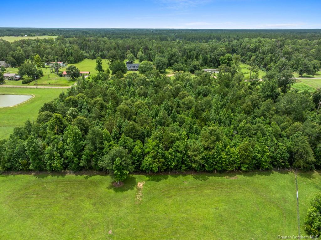 0 Lee Hall Road Deridder, LA 70634 - Photo 13 of 21