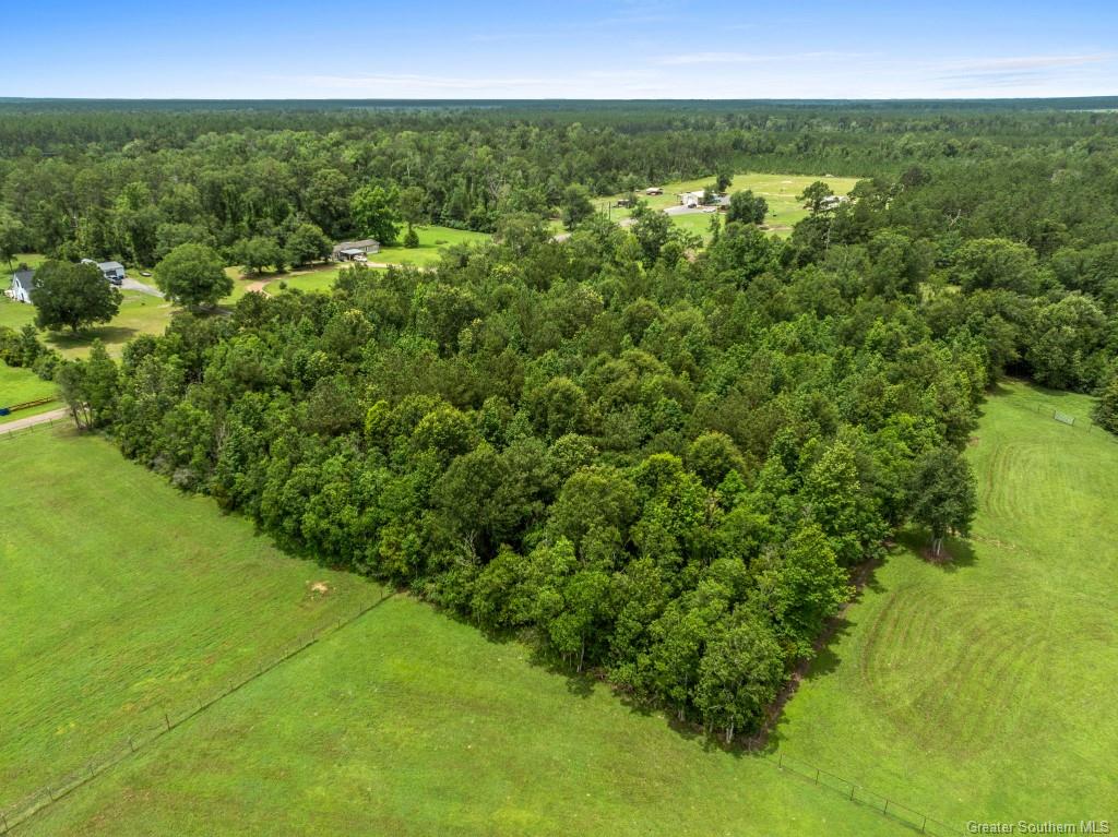 0 Lee Hall Road Deridder, LA 70634 - Photo 14 of 21