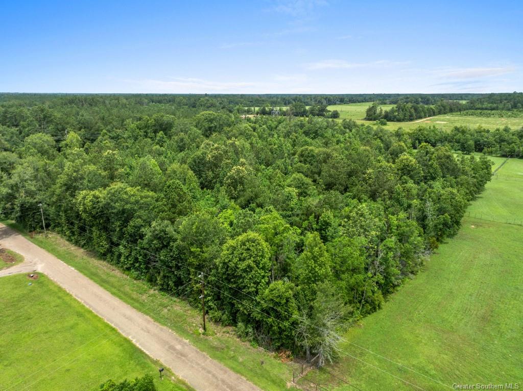 0 Lee Hall Road Deridder, LA 70634 - Photo 15 of 21