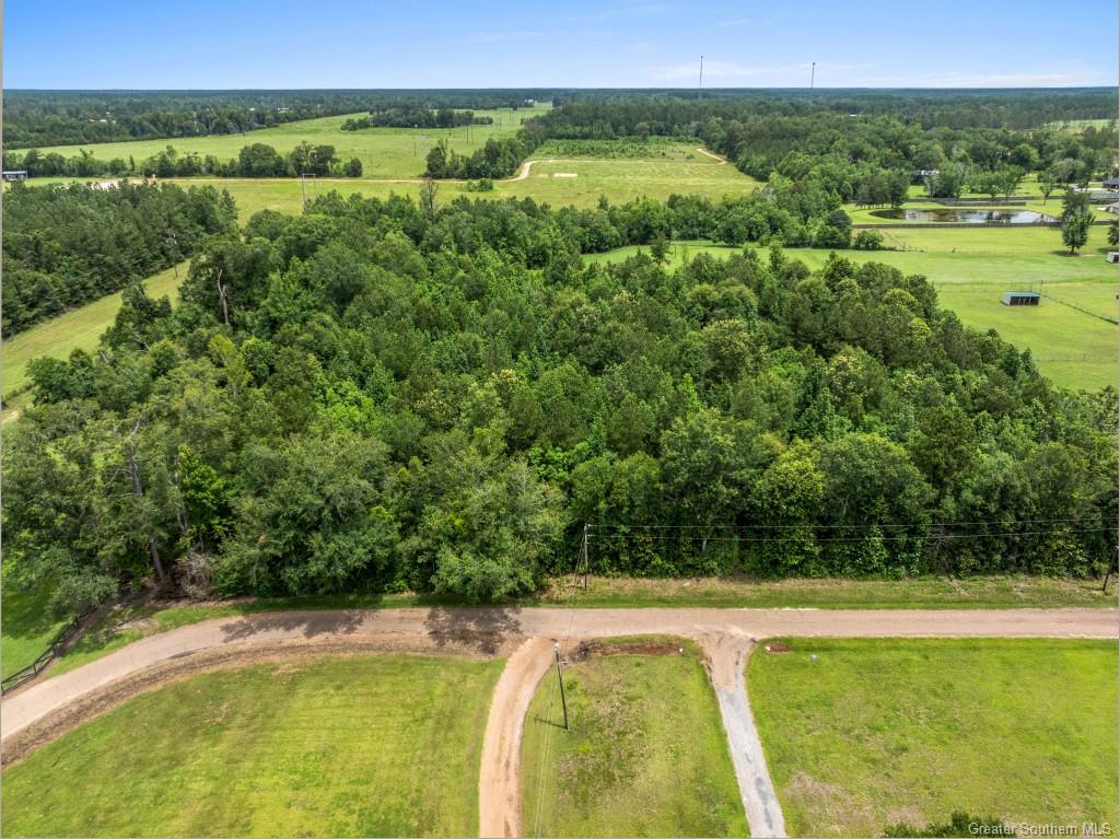 0 Lee Hall Road Deridder, LA 70634 - Photo 2 of 21