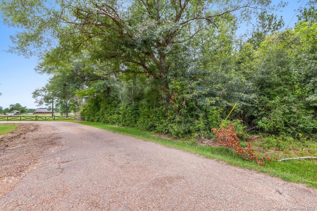 0 Lee Hall Road Deridder, LA 70634 - Photo 21 of 21