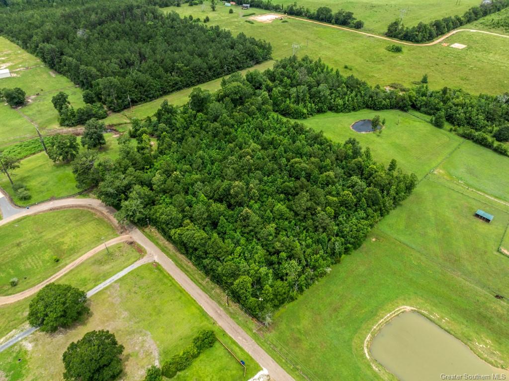 0 Lee Hall Road Deridder, LA 70634 - Photo 3 of 21