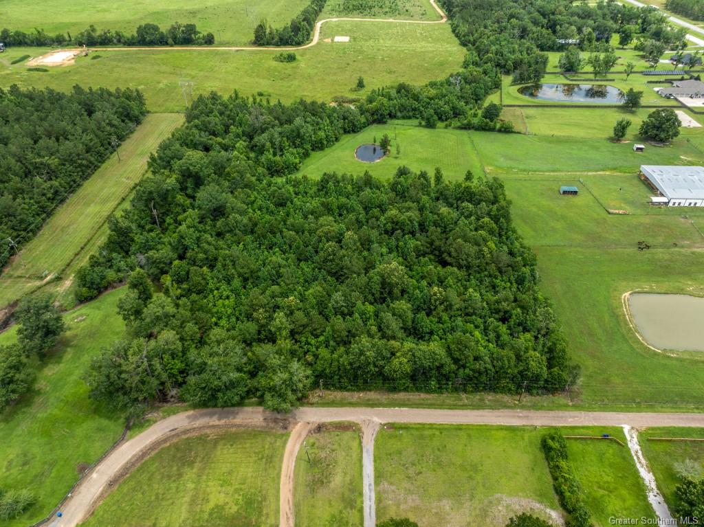 0 Lee Hall Road Deridder, LA 70634 - Photo 4 of 21