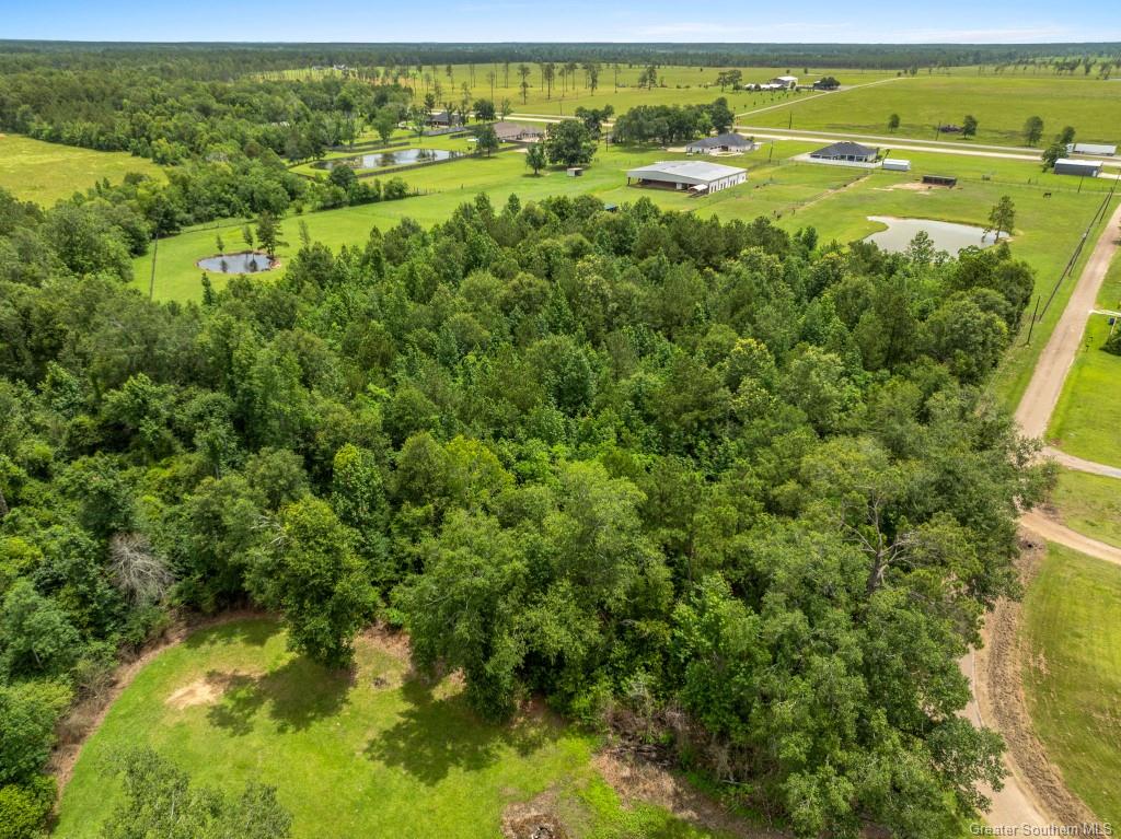 0 Lee Hall Road Deridder, LA 70634 - Photo 5 of 21