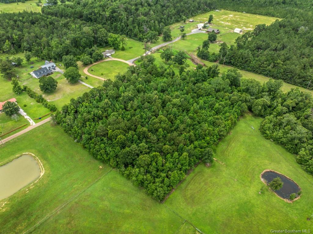 0 Lee Hall Road Deridder, LA 70634 - Photo 7 of 21