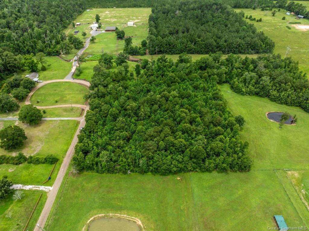0 Lee Hall Road Deridder, LA 70634 - Photo 8 of 21