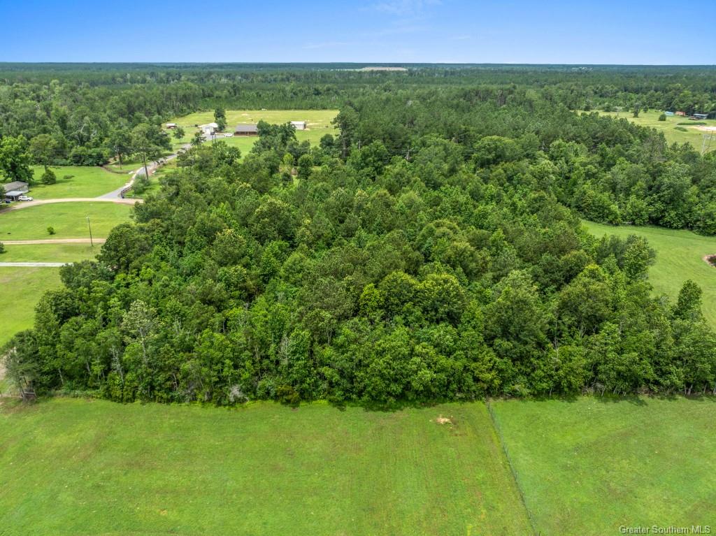 0 Lee Hall Road Deridder, LA 70634 - Photo 9 of 21