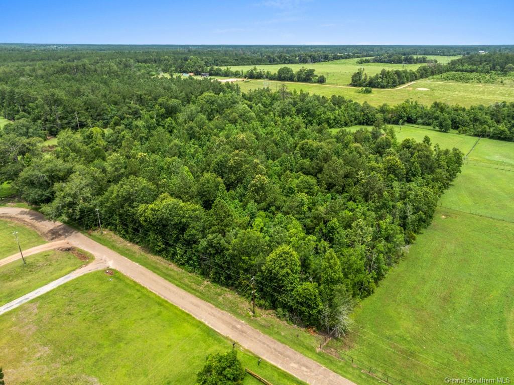 0 Lee Hall Road Deridder, LA 70634 - Photo 10 of 21