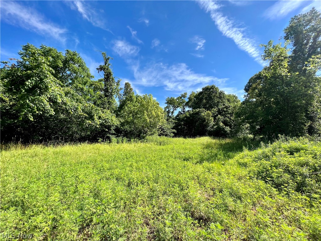 Butterbean Ridge Road Philo, OH 43771 - Photo 2 of 18