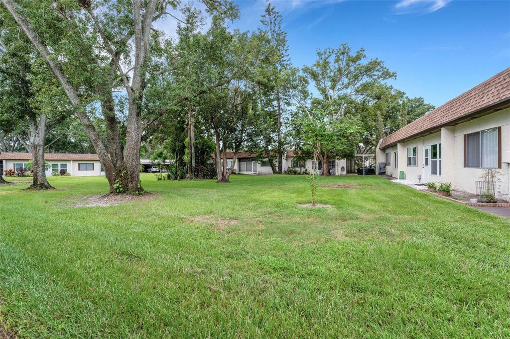 3140 Highlands Boulevard, Unit F Palm Harbor, FL 34684 - Photo 33 of 78 a view of a house with backyard and trees