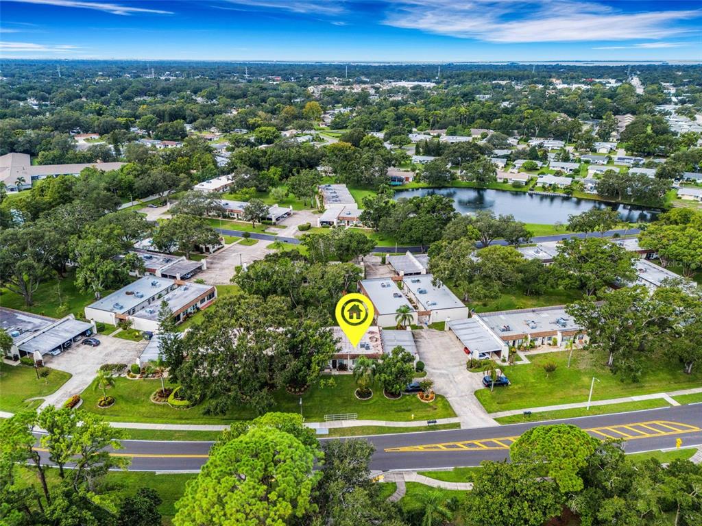 3140 Highlands Boulevard, Unit F Palm Harbor, FL 34684 - Photo 42 of 78