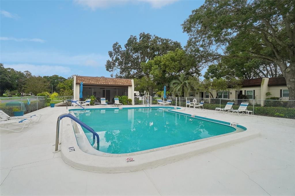 3140 Highlands Boulevard, Unit F Palm Harbor, FL 34684 - Photo 47 of 78 swimming pool view with a seating space and a garden view
