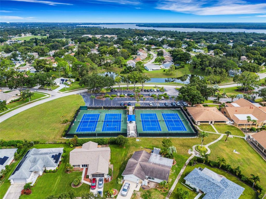 3140 Highlands Boulevard, Unit F Palm Harbor, FL 34684 - Photo 50 of 78