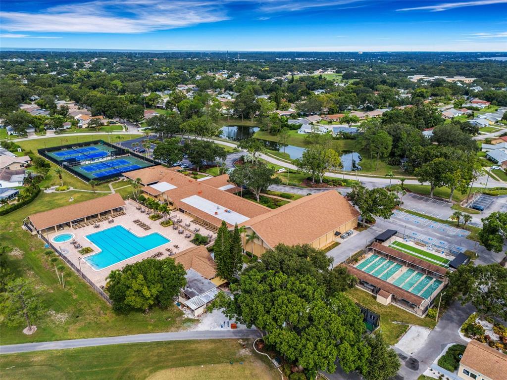 3140 Highlands Boulevard, Unit F Palm Harbor, FL 34684 - Photo 51 of 78