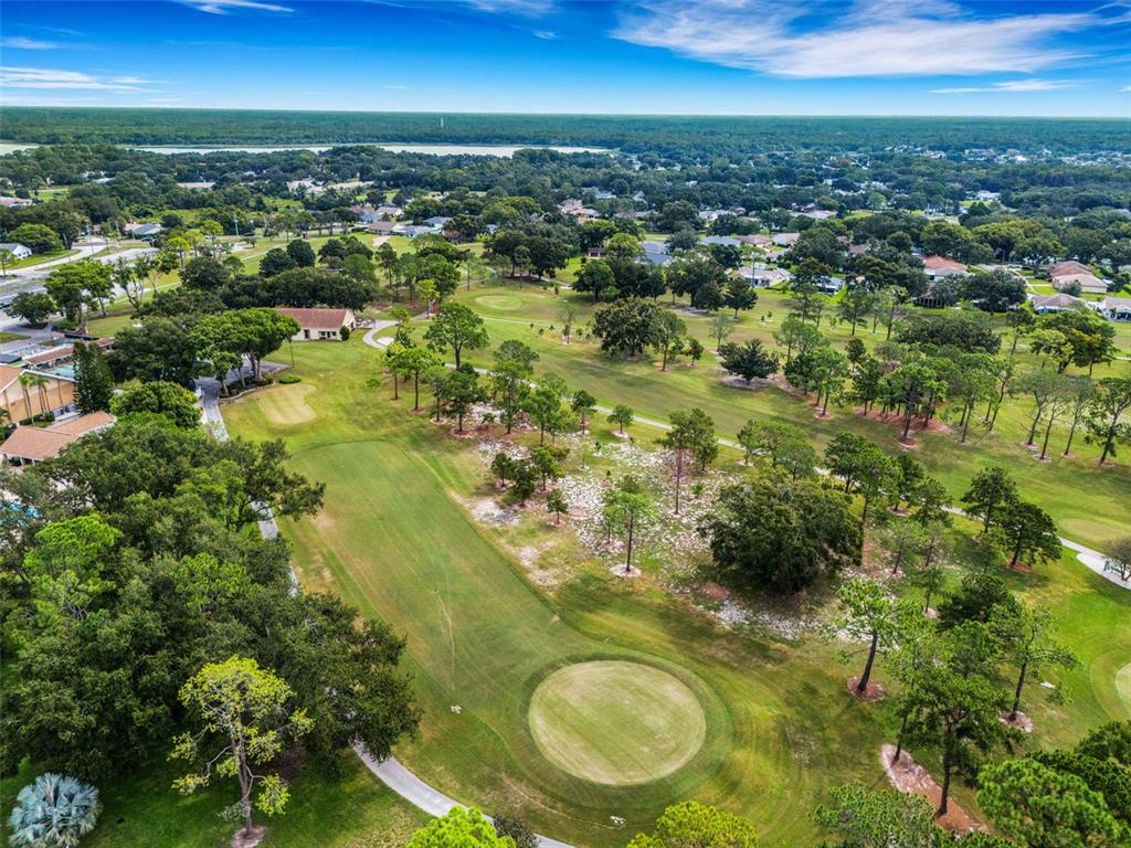 3140 Highlands Boulevard, Unit F Palm Harbor, FL 34684 - Photo 53 of 78 an aerial view of residential houses with outdoor space and trees