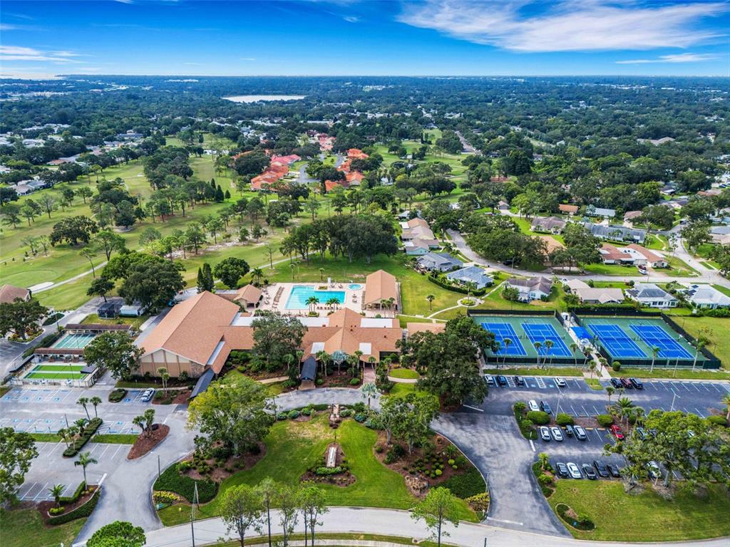 3140 Highlands Boulevard, Unit F Palm Harbor, FL 34684 - Photo 54 of 78 an aerial view of residential houses with outdoor space and trees