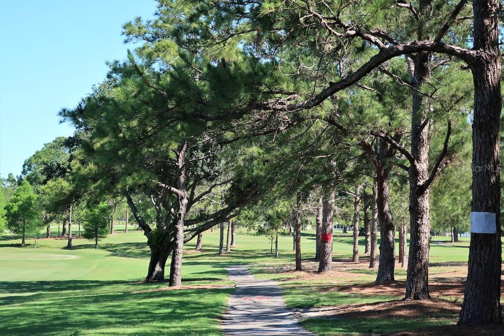 3140 Highlands Boulevard, Unit F Palm Harbor, FL 34684 - Photo 62 of 78