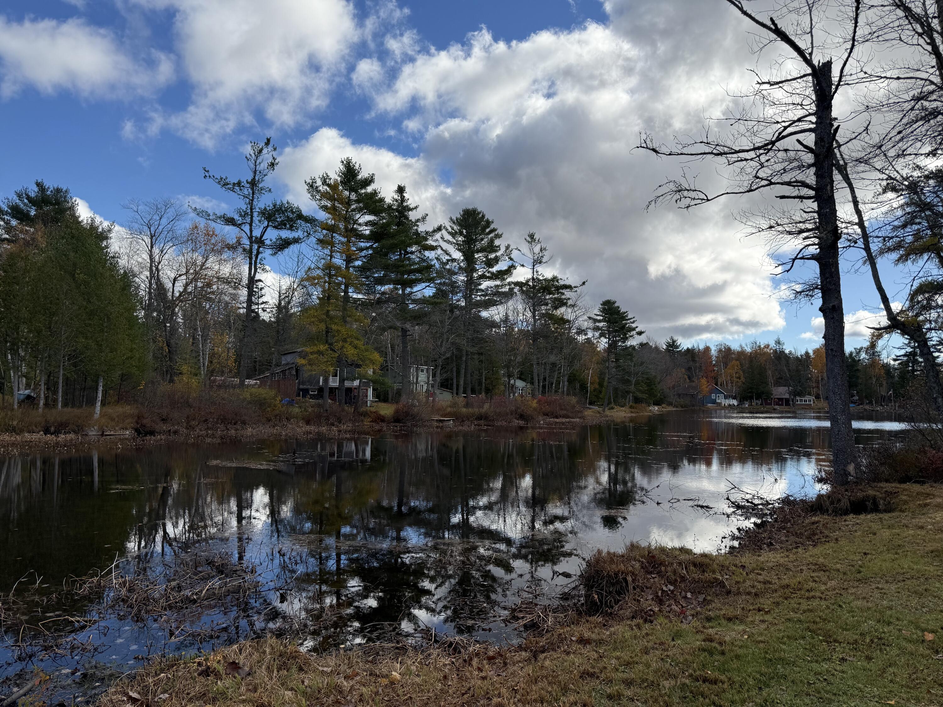 18 Middle Smith Pond Road Millinocket, ME 04462 - Photo 5 of 57 IMG_6370
