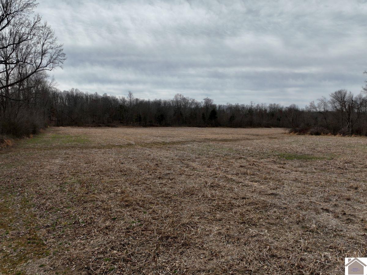 0 Waid Road Benton, KY 42025 - Photo 21 of 35 Photo 21