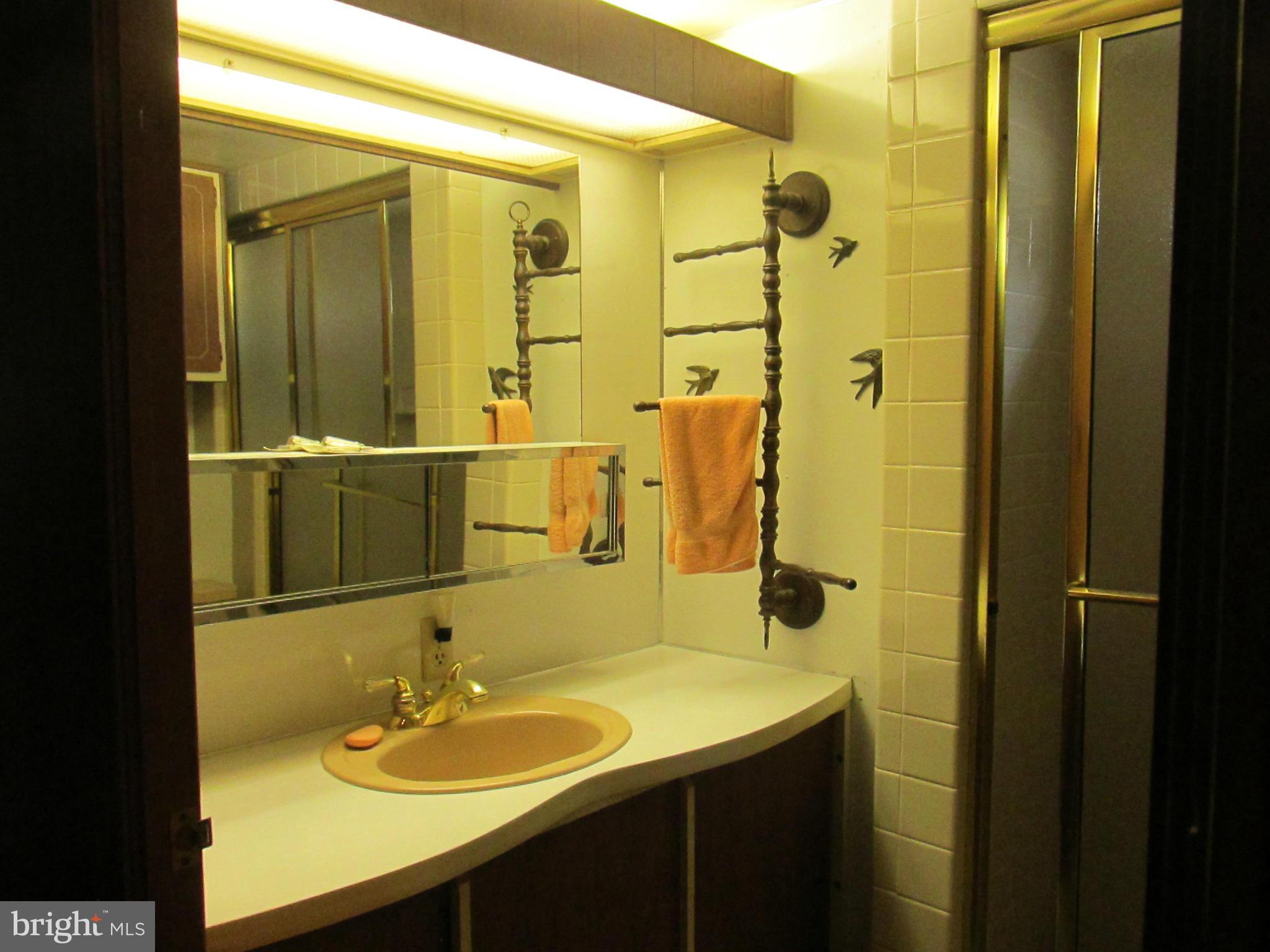 6206 Twin Point Cove Road Cambridge, MD 21613 - Photo 16 of 21 Bath