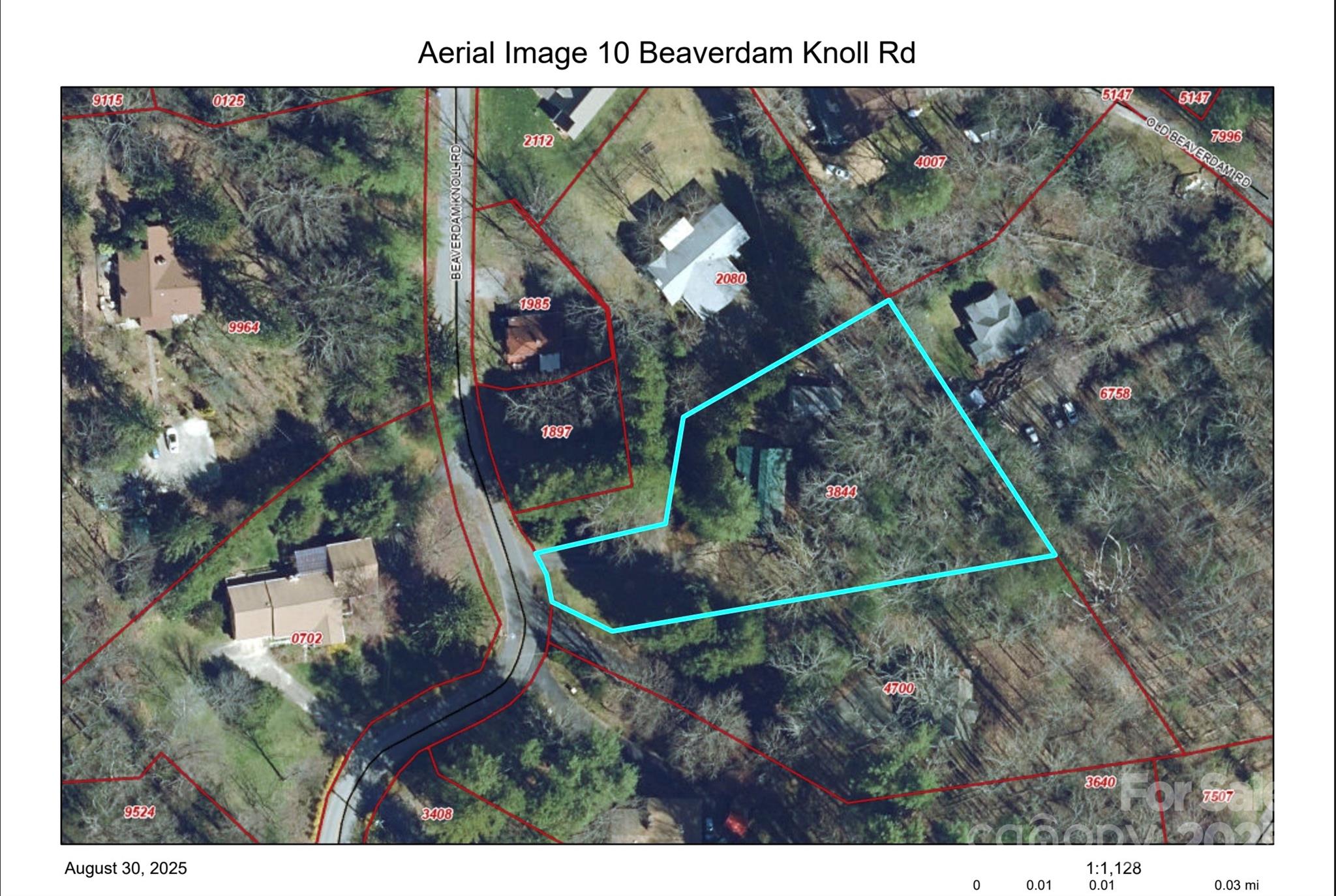 10 Beaverdam Knoll Road Asheville, NC 28804 - Photo 26 of 26