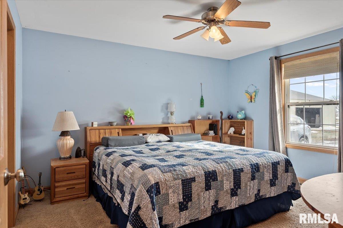 16531 Mansion Road New Berlin, IL 62670 - Photo 17 of 59