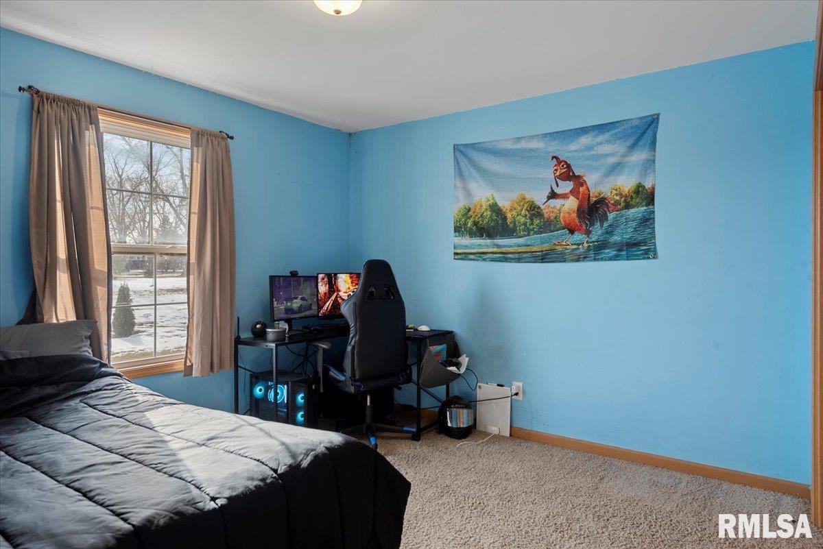 16531 Mansion Road New Berlin, IL 62670 - Photo 20 of 59