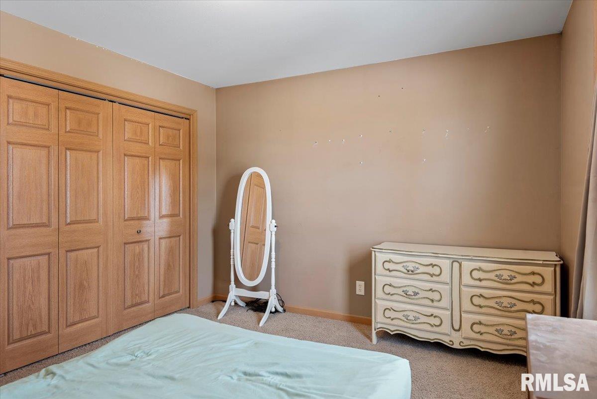 16531 Mansion Road New Berlin, IL 62670 - Photo 23 of 59