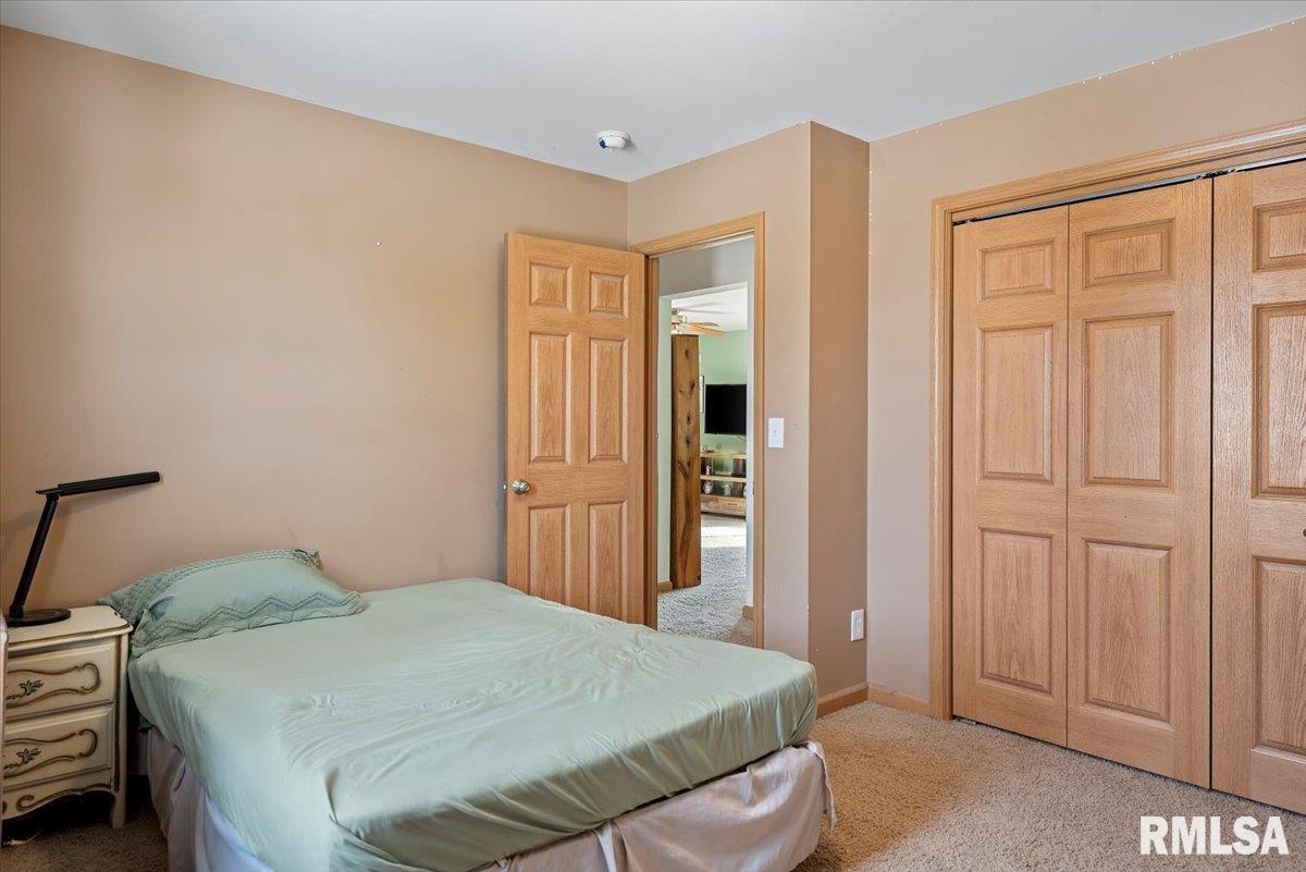 16531 Mansion Road New Berlin, IL 62670 - Photo 24 of 59