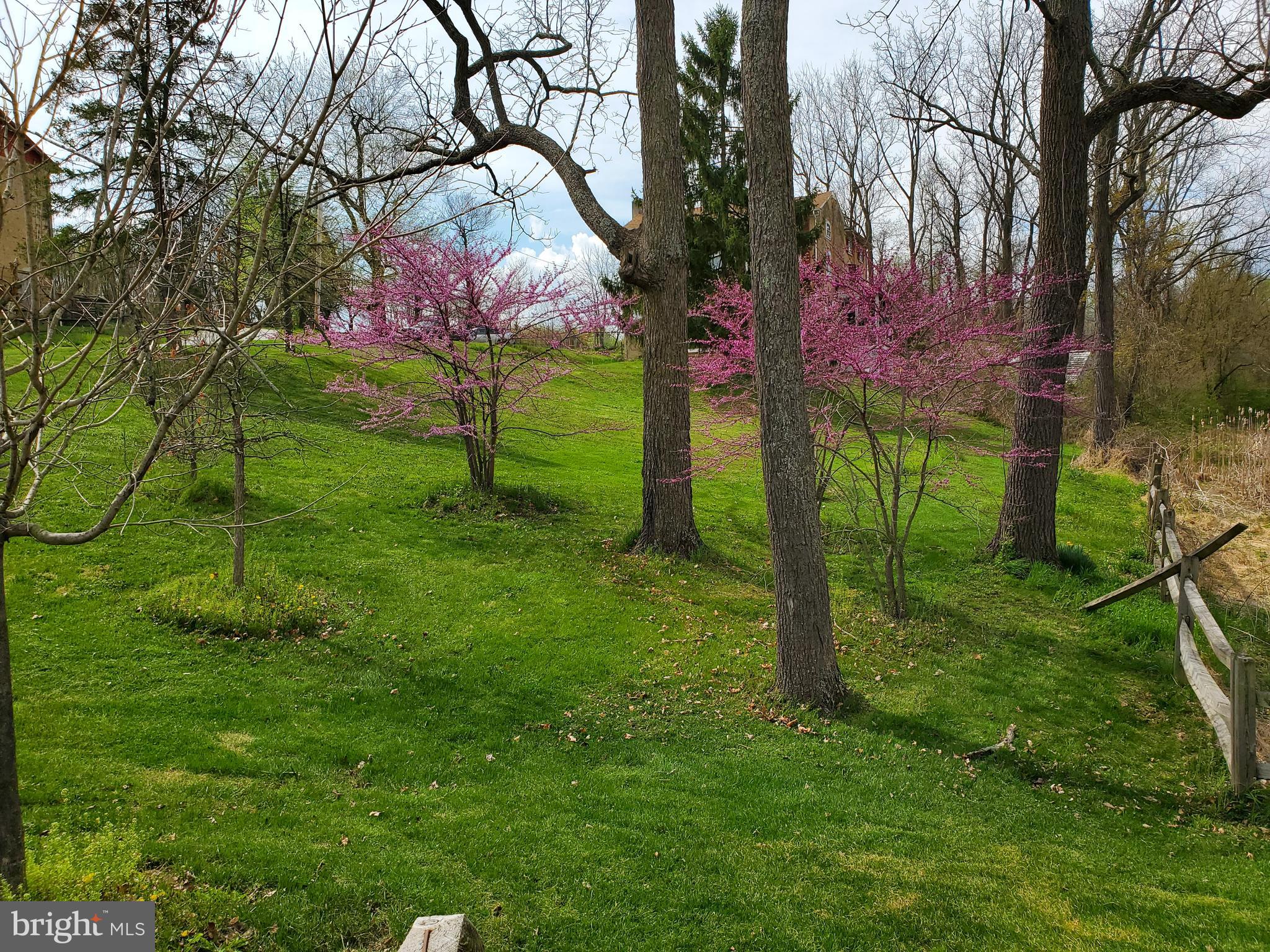 2211 Eagle Farms Road Chester Springs, PA 19425 - Photo 6 of 38 Red Buds trees in bloom