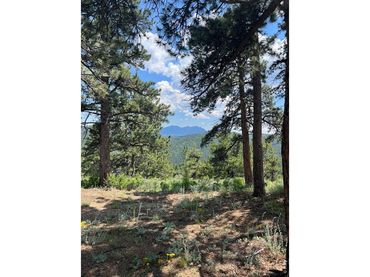 1182 Ridge Road Nederland, CO 80466 - Photo 8 of 24