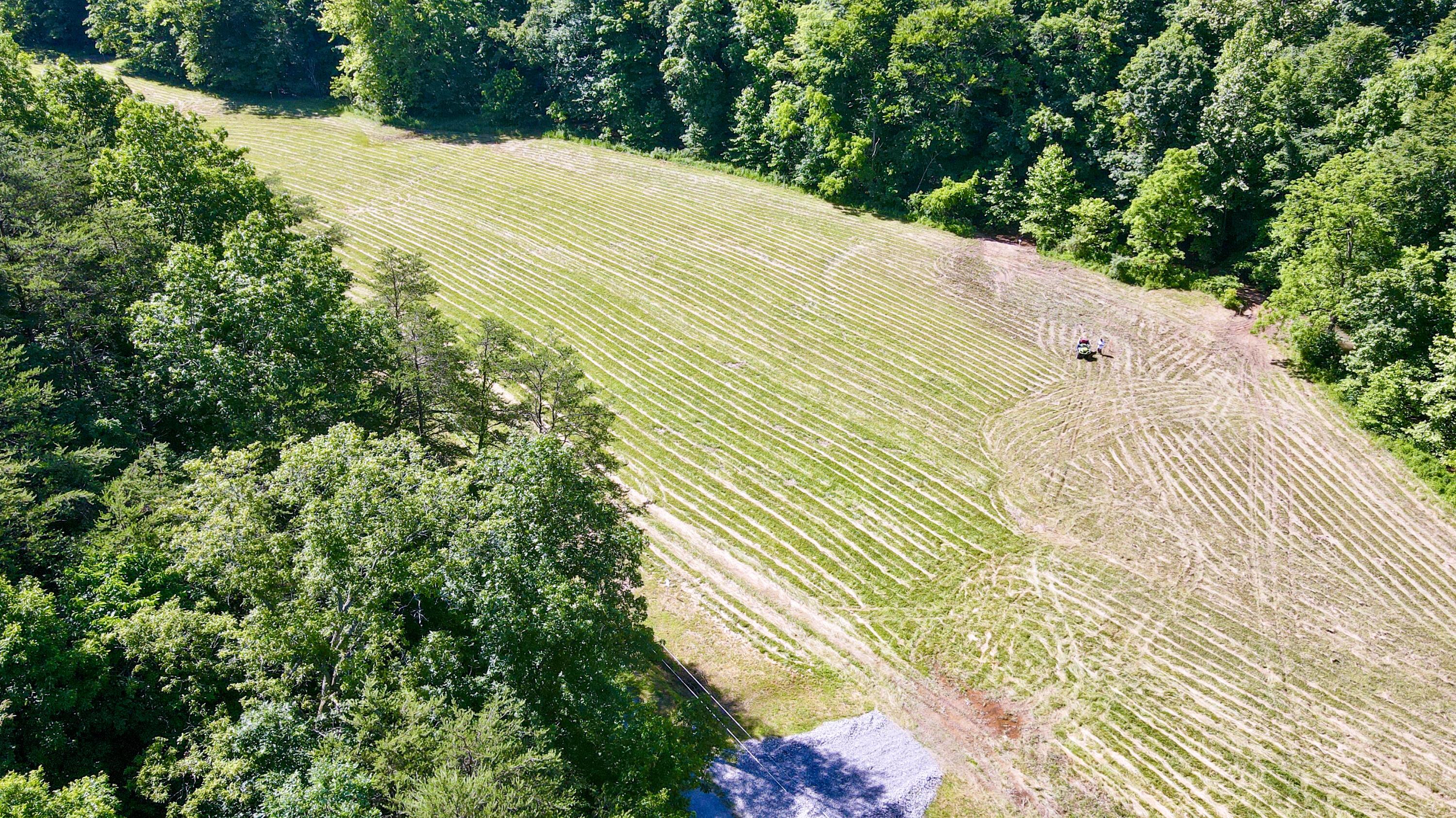1725 Hull Road, Unit TRACT 4 WOODS WAYNE FOREST) Patriot, OH 45658 - Photo 18 of 45 20240607_142636000_iOS