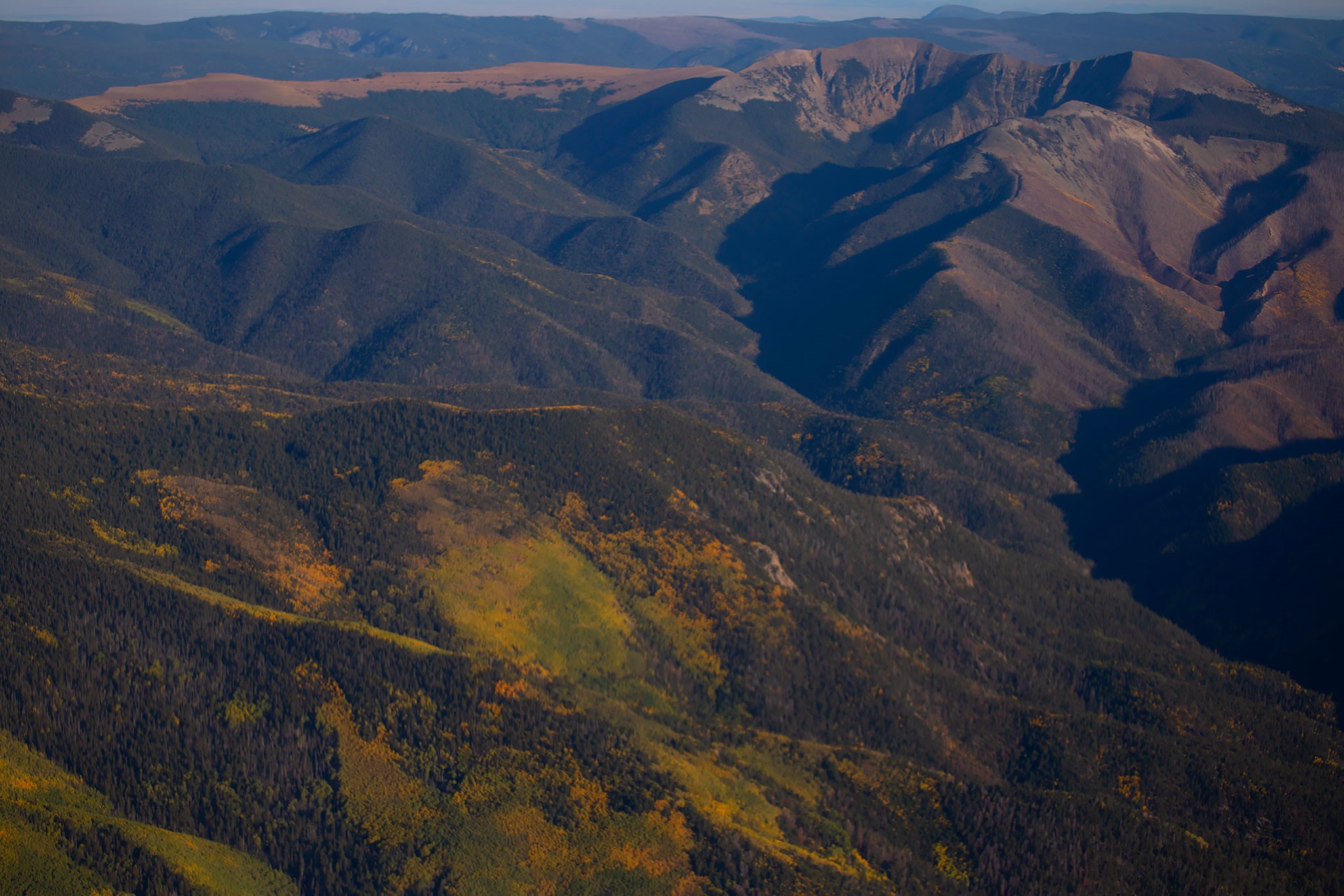 1 The Ranch Angel Fire, NM 87710 - Photo 8 of 67