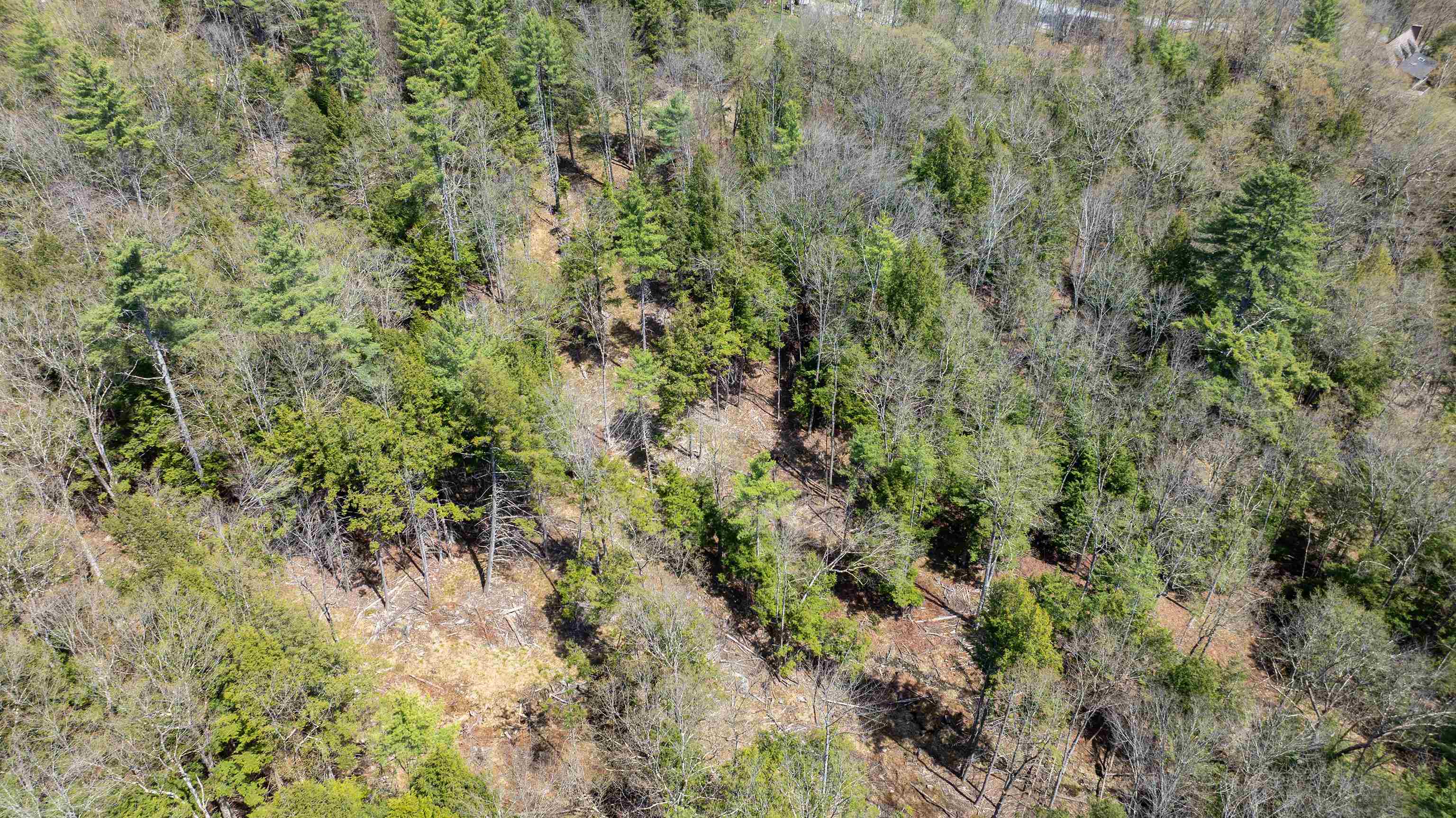 0 Fay Lane, Unit 7226 AND 7227 Quechee, VT 05059 - Photo 17 of 21