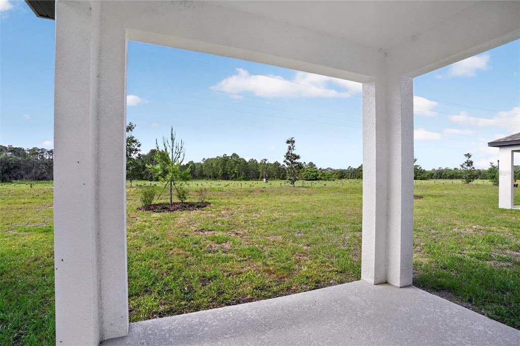 5788 Haystack Drive St. Cloud, FL 34771 - Photo 28 of 31 a view of a garden from a window