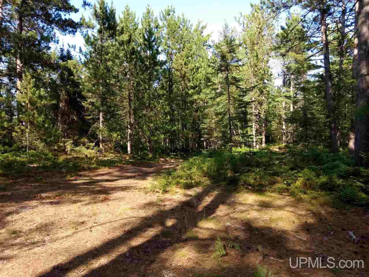Unit 38-tbd Little Rice Lake Road, Unit 38 Lake Linden, MI 49945 - Photo 7 of 28