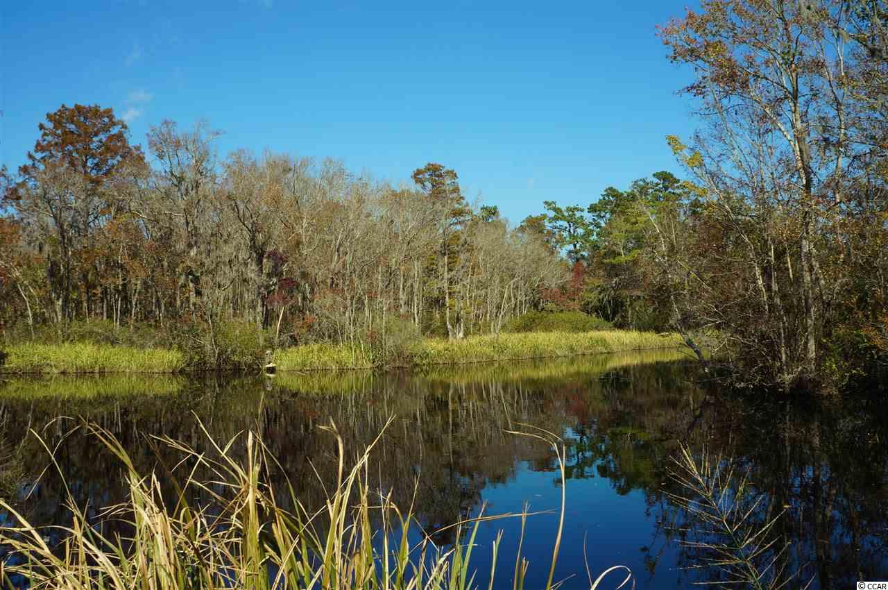 2798 Waverly Road Pawleys Island, SC 29585 - Photo 35 of 40 Gallery Image 35